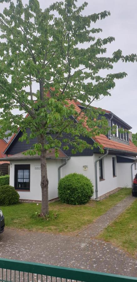 Seeblick Goehren-Lebbin Exterior photo
